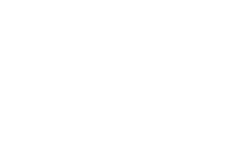 Pinto Turf | Turf Tended Differently